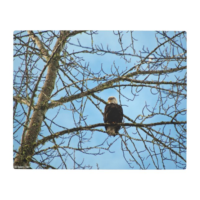 Impresión En Metal Te estoy vigilando (Anverso)