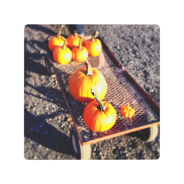 Impresión En Metal Temporada de calabaza (Anverso)