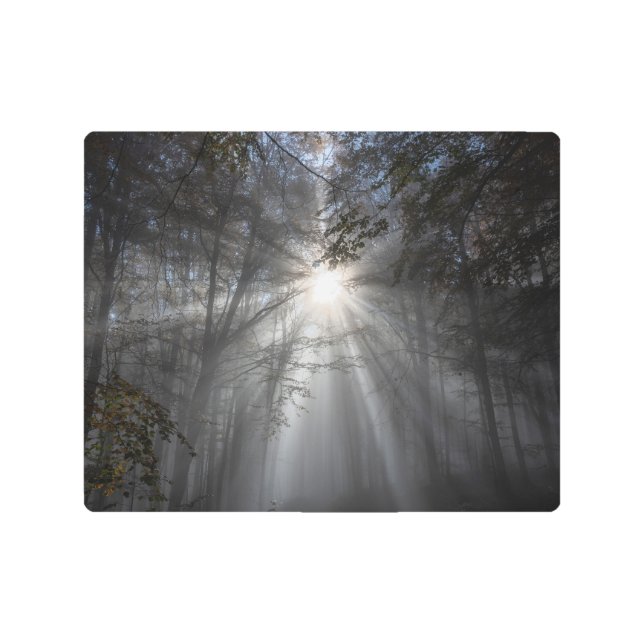 Impresión En Metal Temporada de silencio (Anverso)