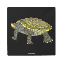 Terrapin (negro) - Impresión de Metal