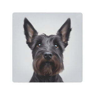 Impresión En Metal Terrier escocés