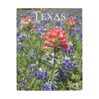 Impresión En Metal Texas Bluebonnets
