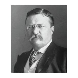 Impresión En Metal Theodore Roosevelt Teddy Presidente Republicano