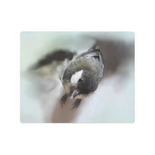 Impresión En Metal Tidi my Bird the Parus Major