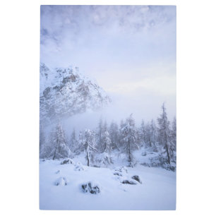 Impresión En Metal Tierras maravillosas del invierno, niebla, bosque 