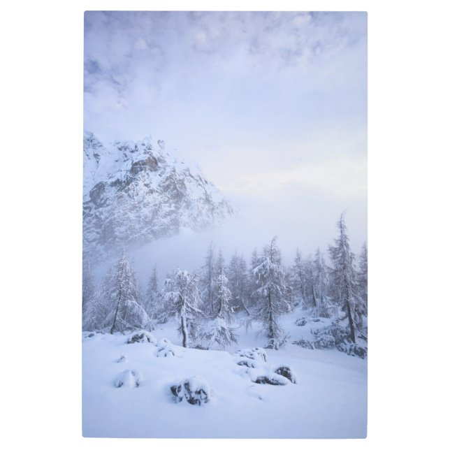 Impresión En Metal Tierras maravillosas del invierno, niebla, bosque  (Anverso)