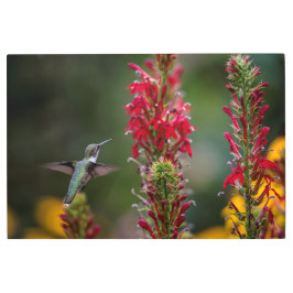 IMPRESIÓN EN METAL TODOS PARECEN YUMMY-HUMMINGBIRD,FLORES CARDINALES