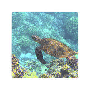 Impresión En Metal tortuga en el mar
