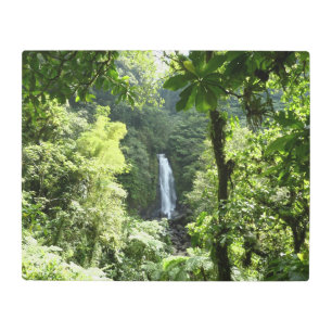 Impresión En Metal Trafalgar cae fotografía tropical de selva tropica