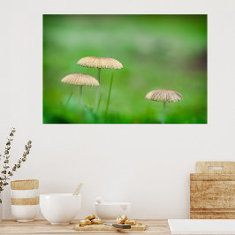 Impresión En Metal Tres hermosos hongos silvestres en un campo otoñal