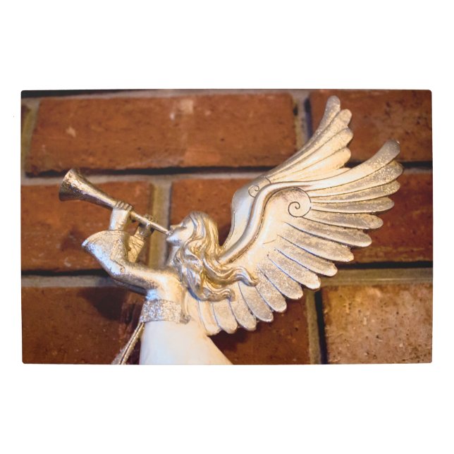 Impresión En Metal Trucha plateada I (Anverso)