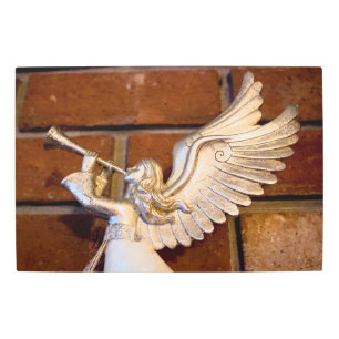 Impresión En Metal Truco plateado I