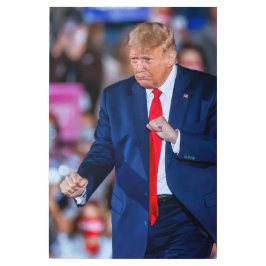 Impresión En Metal Trump Dance Funny