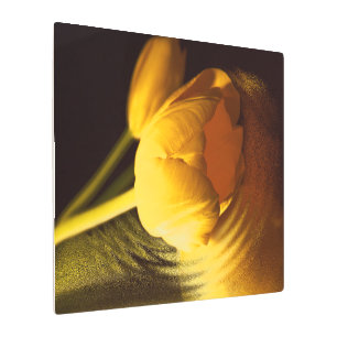 Impresión En Metal Tulipán amarillo romántico