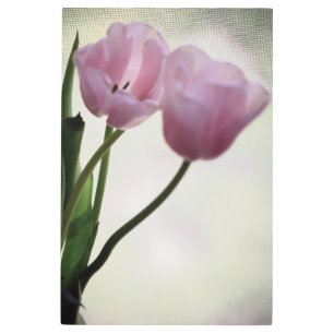 Impresión En Metal Tulipanes 3265
