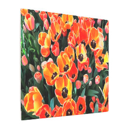 Impresión En Metal Tulipanes rojos brillantes de Estambul