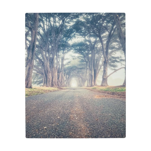 Impresión En Metal Túnel Cypress (Anverso)