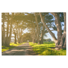 Impresión En Metal Túnel Cypress