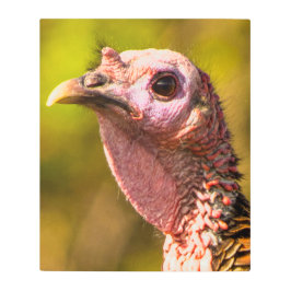 Impresión En Metal Turquía de cerca... Pared metalizado Art 20 x 24