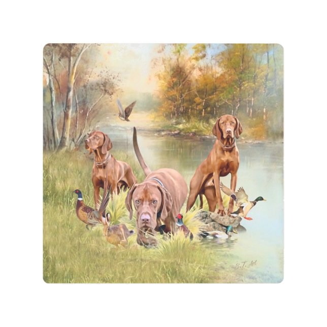 Impresión En Metal Un aristócrata versátil en la Vizsla húngara (Anverso)