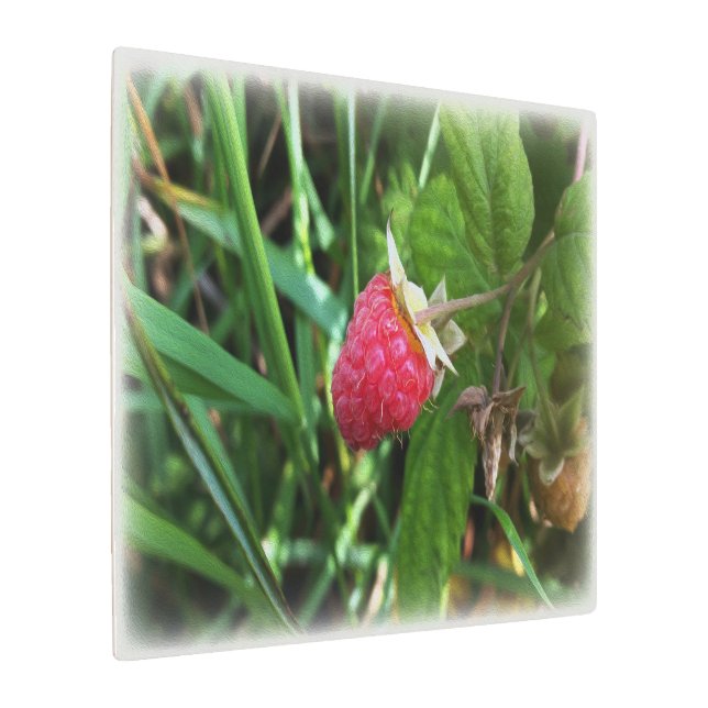 Impresión En Metal Una frambuesa madura (Angulado)