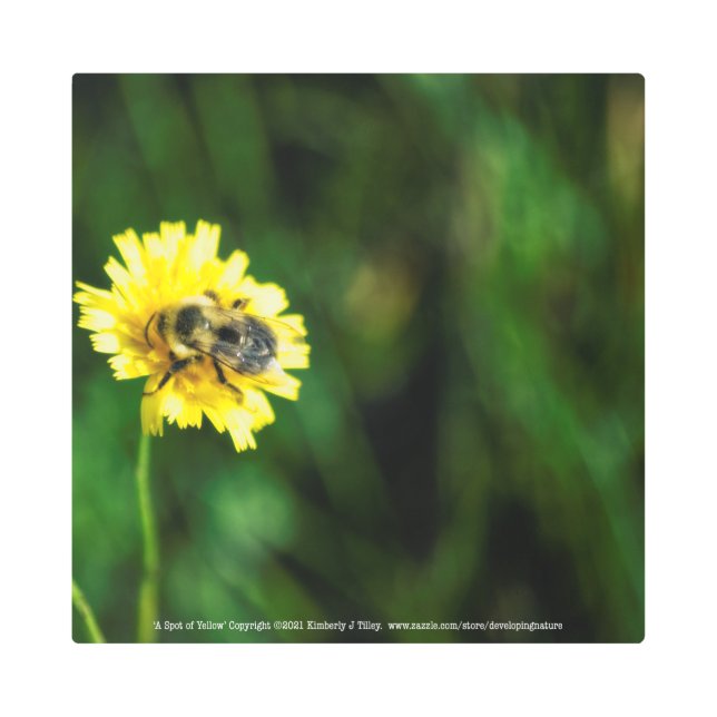 Impresión En Metal Una olla de amarillo (Anverso)