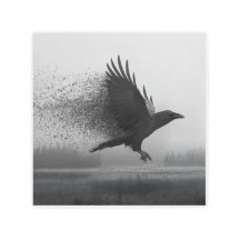 Unraveling - Raven in the Mist