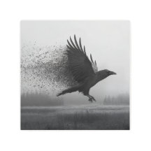 Unraveling - Raven in the Mist
