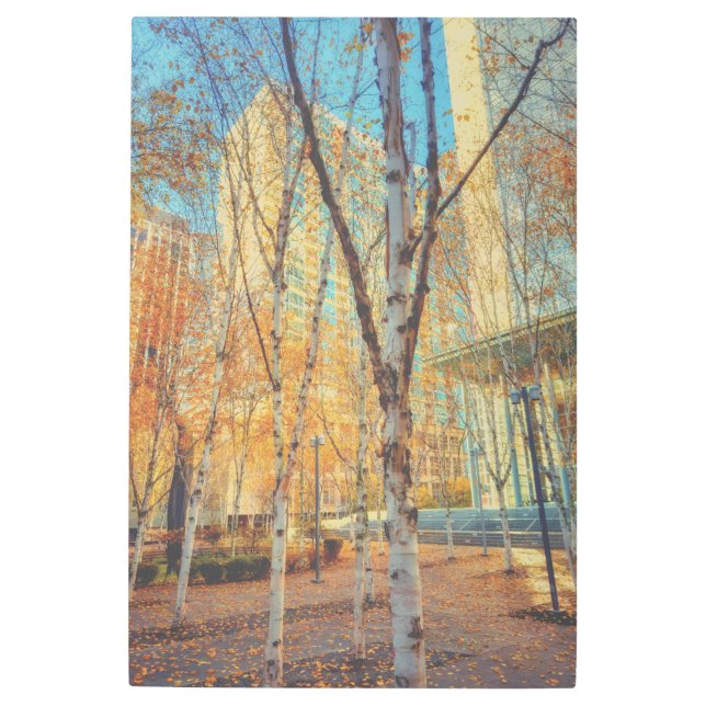 Impresión En Metal Urbano de otoño (Anverso)