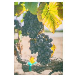 Impresión En Metal Uva en vinagre