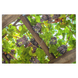 Impresión En Metal Uvas en vides