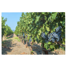 Impresión En Metal Uvas en vides