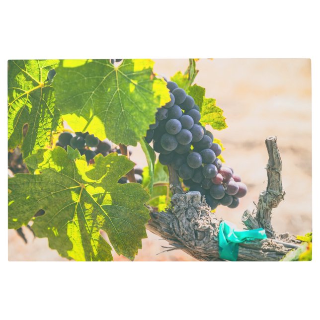 Impresión En Metal Uvas en vinagre (Anverso)