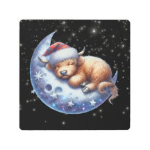 Vaca de Santa Highland durmiendo en la luna