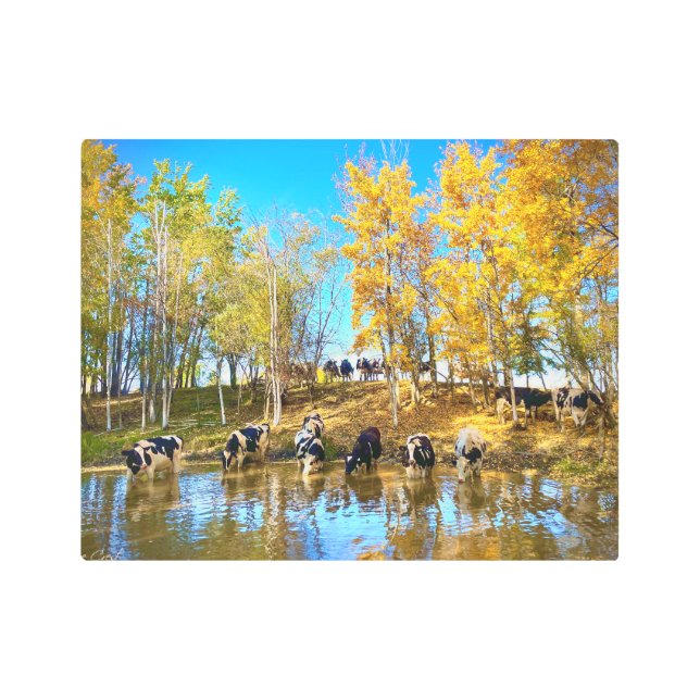 Impresión En Metal Vacas en otoño en el estanque (Anverso)