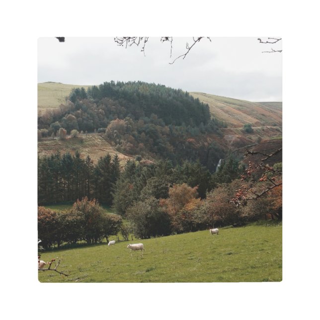 Impresión En Metal Valle Pennant de Gales (Anverso)