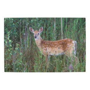 Impresión En Metal Venado de cola blanca   Cordillera Nacional de Bis