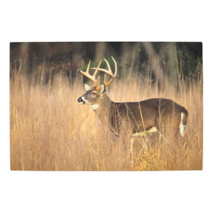 Impresión En Metal Venado de cola blanca Montañas humeantes Tenness