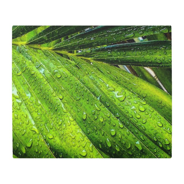 Impresión En Metal Verdes tropicales con gotas de lluvia (Anverso)