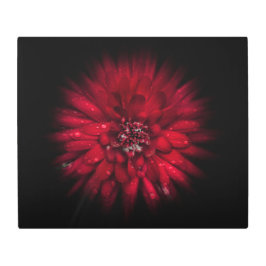 Impresión En Metal Versión de flujo de color de las flores traseras n