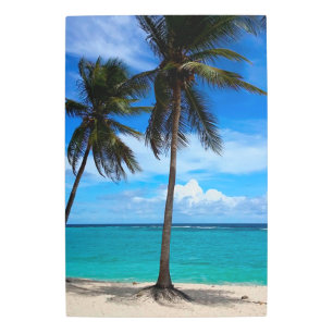 Impresión En Metal Viaje familiar de vacaciones en playa Guadalupe Ca