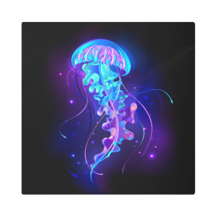 Impresión En Metal Vibrante color Glustre medusas