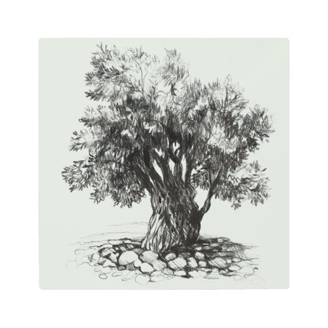 Impresión En Metal Viejo árbol de olivo metalizado (Anverso)