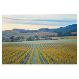 Impresión En Metal Viñedo al atardecer