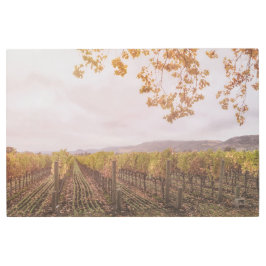 Impresión En Metal Viñedo en otoño