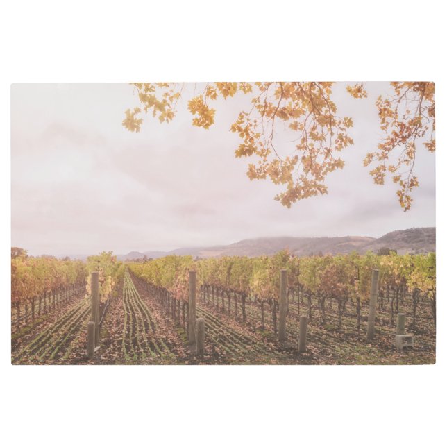Impresión En Metal Viñedo en otoño (Anverso)