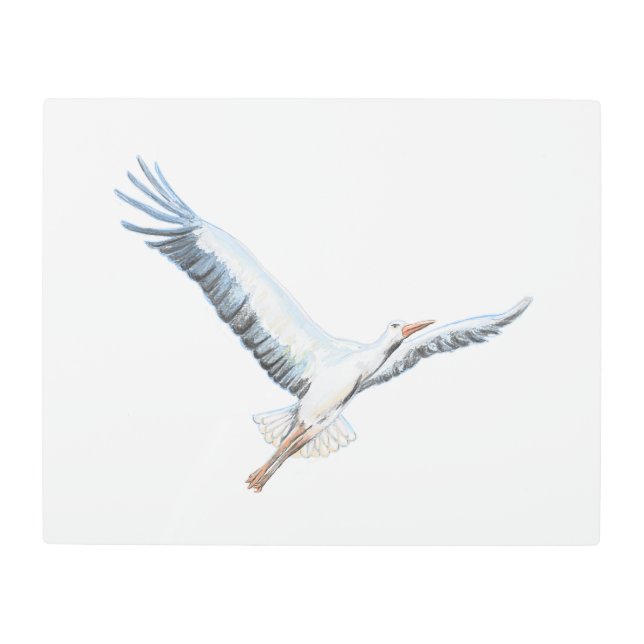 Impresión En Metal Volante de cigüeña blanca (Anverso)