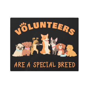 Impresión En Metal Voluntarios son un refugio especial para perros de