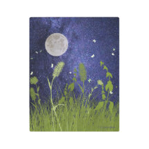 "Vuelo nocturno en blanco"