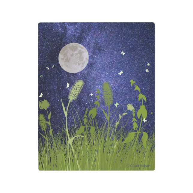 Impresión En Metal "Vuelo nocturno en blanco" (Anverso)